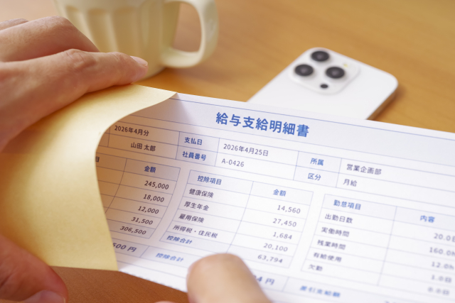 給料日に給与明細を確認する人の手元