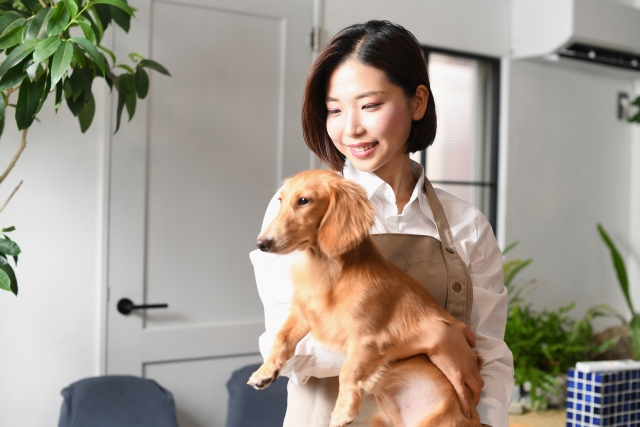 犬を両手で抱きかかえながら微笑む女性スタッフ