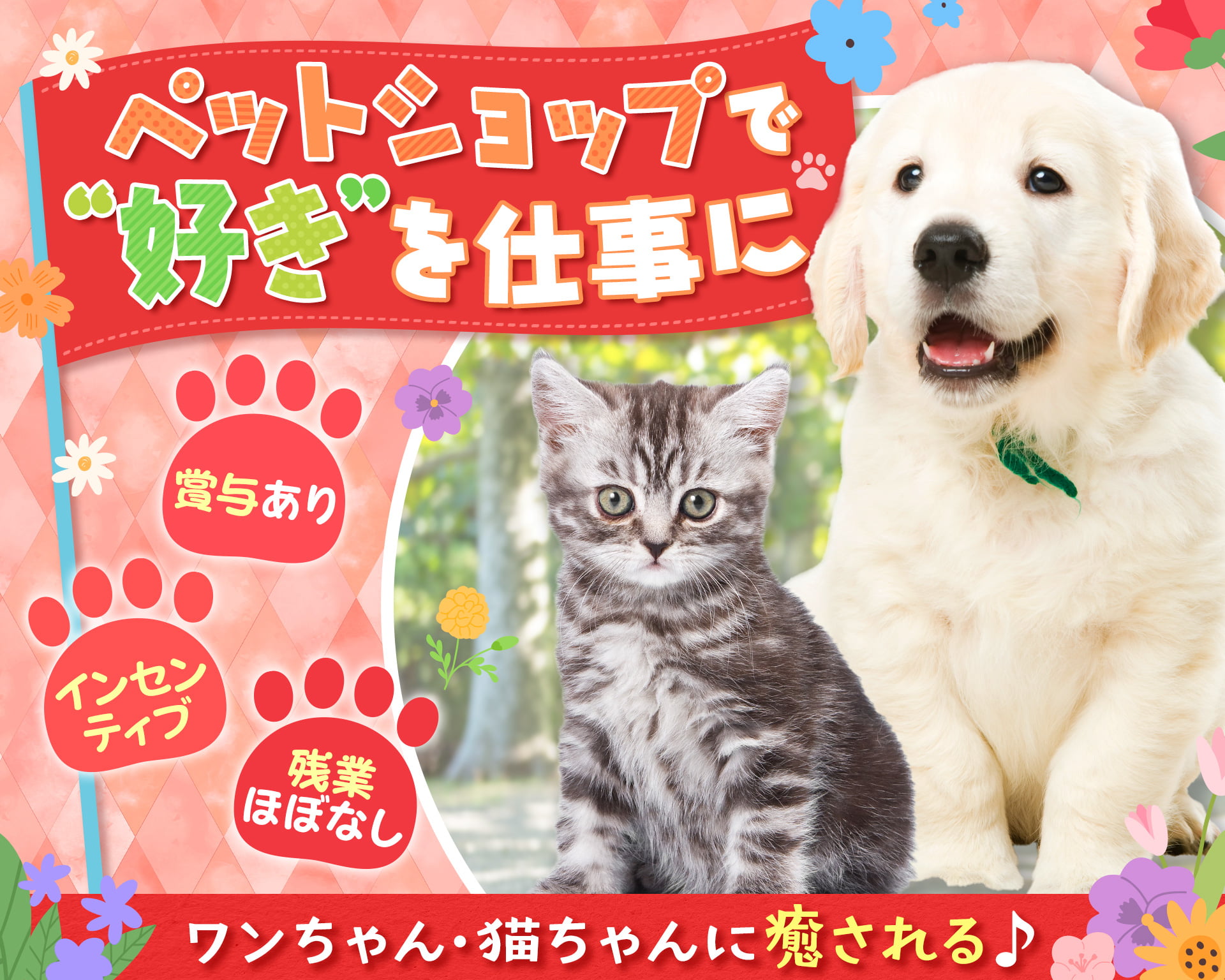 株式会社犬の家の女性バイト求人情報