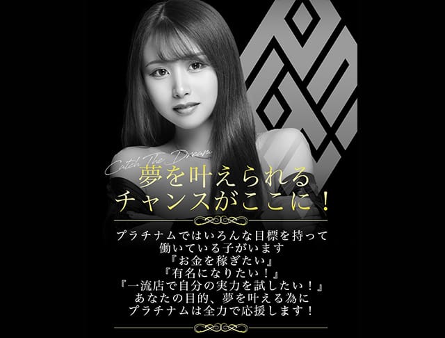 PLATINUM 浜松 (プラチナム ハママツ) のフォトギャラリー1