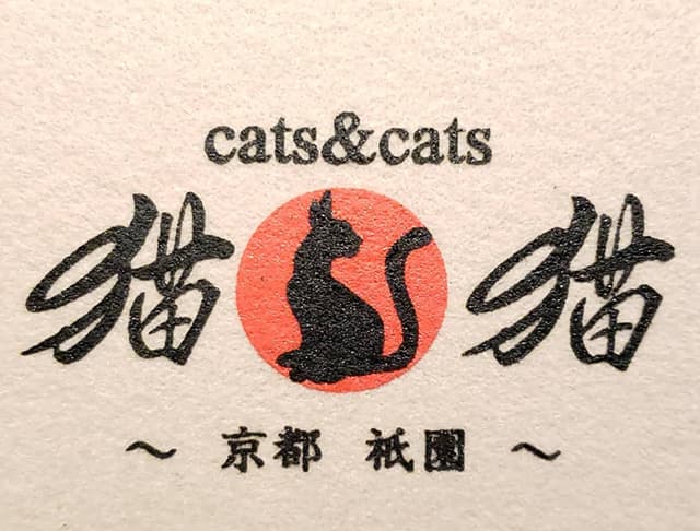 猫＆猫（キャッツ＆キャッツ）のフォトギャラリー5