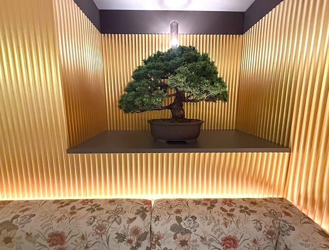 club 茶屋（チャヤ）のフォトギャラリー4