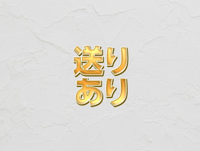 V-niigata-（ブイニイガタ）のフォトギャラリー2