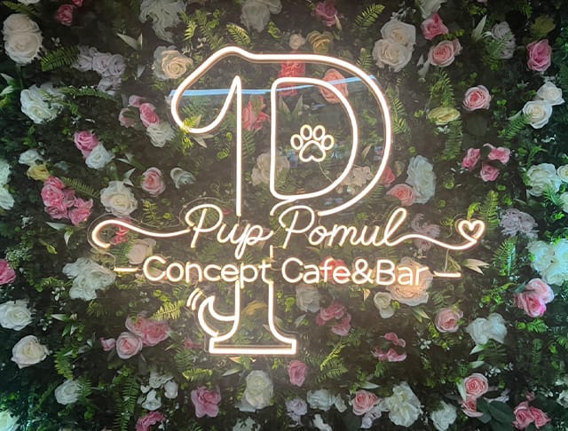 コンカフェ PuP Pomul（パプポムル）のフォトギャラリー4