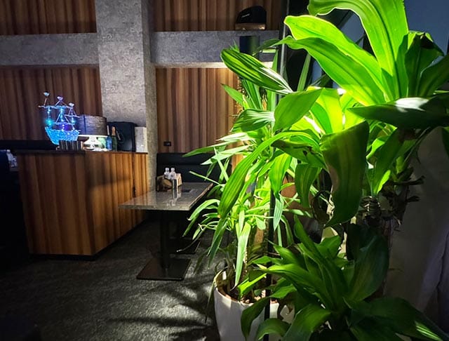BOTANICAL（ボタニカル）のフォトギャラリー1