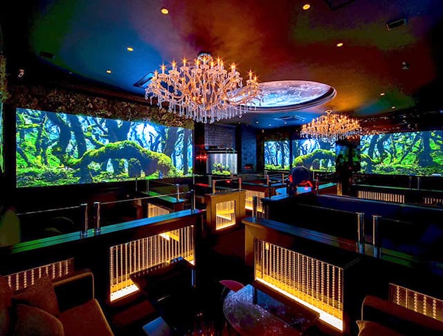 CLUB HARMAN（ハーマン）のフォトギャラリー1