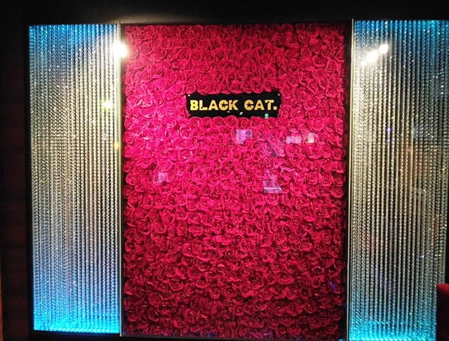 【東急線/JR線蒲田駅】Girl's Bar ブラックキャットのフォトギャラリー1