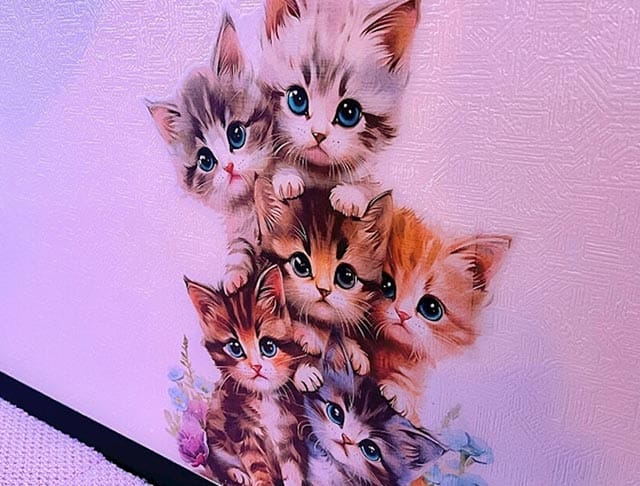 にゃんにゃんパラダイスのフォトギャラリー3