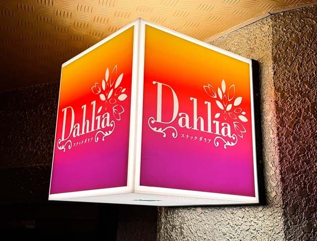 Dahlia（ダリア）のフォトギャラリー1