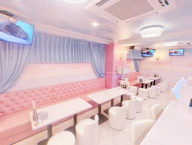 Cafe & Bar てぃあ×らぴ Tiara × Utopiaのフォトギャラリー2