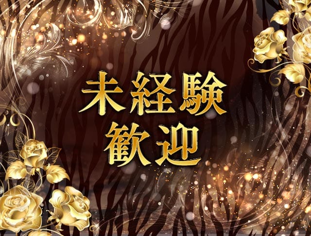 ランジェリーナイトのフォトギャラリー2