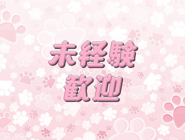 ねこ×りあのフォトギャラリー2