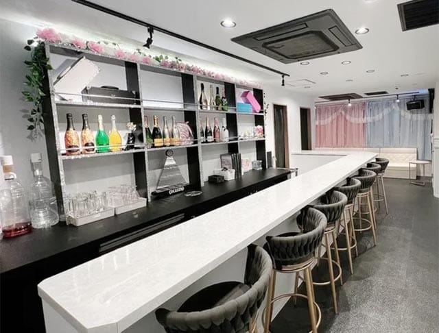 【秋葉原駅電気街口】コンカフェ ドーリーキャッツのフォトギャラリー1