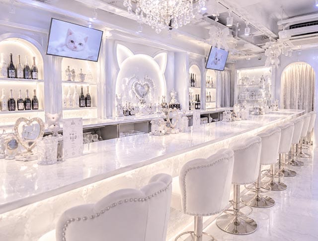 しろいろ。のフォトギャラリー1