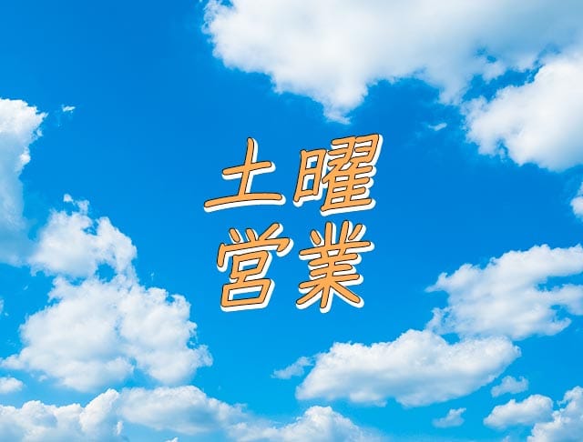 ルルのフォトギャラリー4