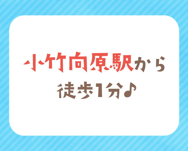 ドレミガーデンプリスクールインターナショナルのフォトギャラリー2