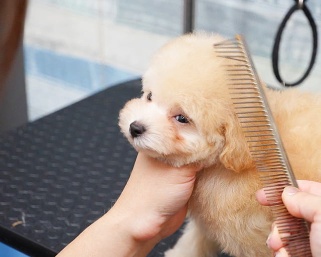 ONECARAT 姫路花田店のフォトギャラリー3