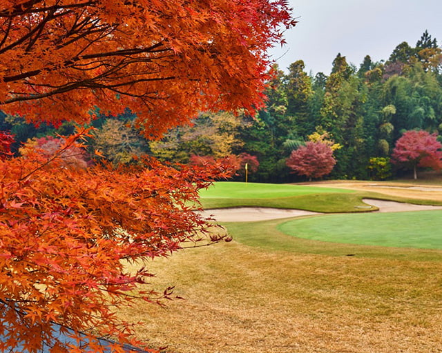 泉カントリー倶楽部のフォトギャラリー5