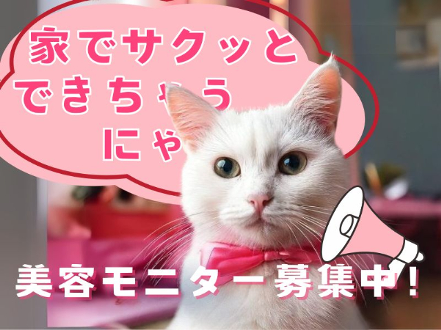 株式会社クラウドワーカー【ご自宅でのお仕事】のフォトギャラリー1