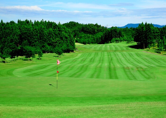 株式会社シーエーセールススタッフのフォトギャラリー2