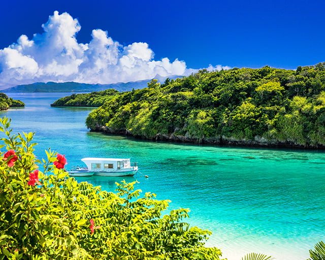 株式会社アールディ・フィールズ沖縄のフォトギャラリー1