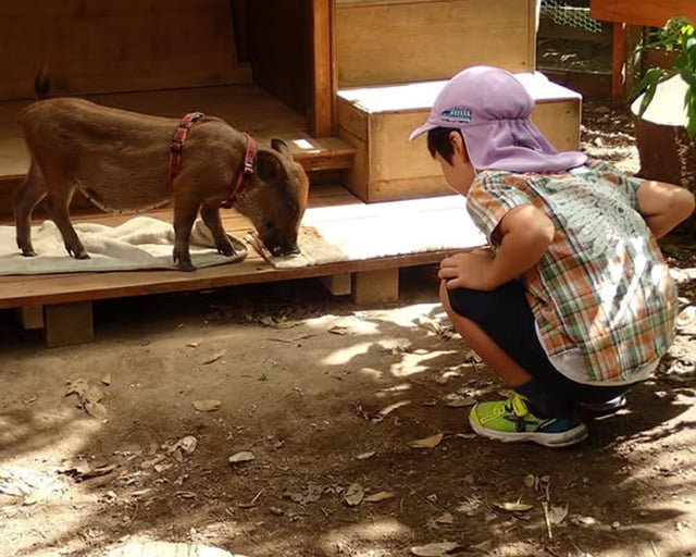 学校法人希望学園 葛飾こどもの園幼稚園のフォトギャラリー1