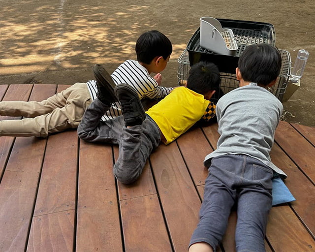 学校法人希望学園 葛飾こどもの園幼稚園のフォトギャラリー2