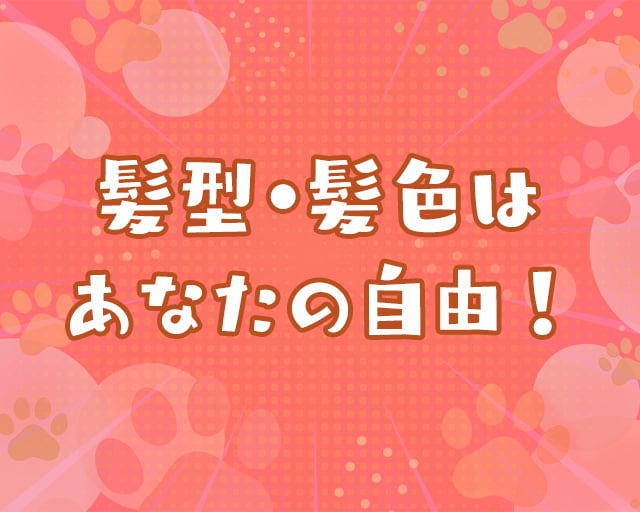 株式会社犬の家のフォトギャラリー5