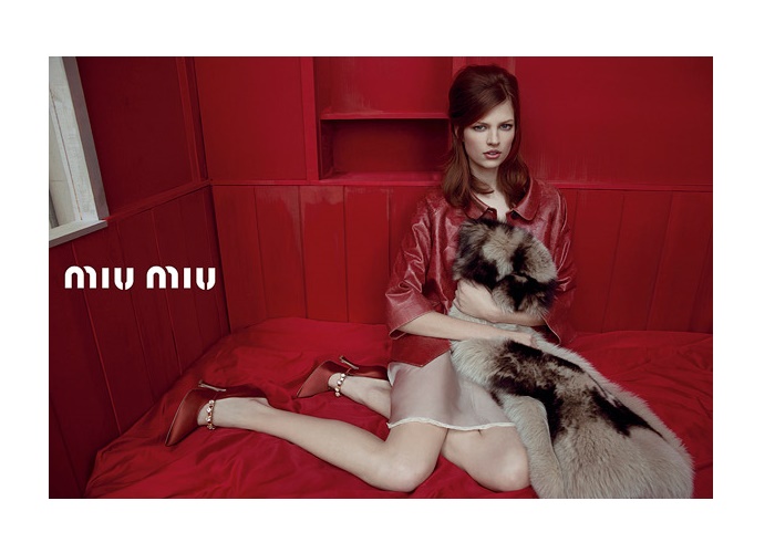 株式会社シーエーセールススタッフのフォトギャラリー1