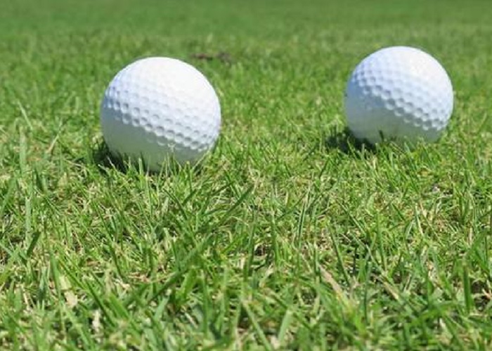 株式会社シーエーセールススタッフのフォトギャラリー2