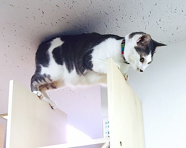 株式会社清談社のフォトギャラリー2