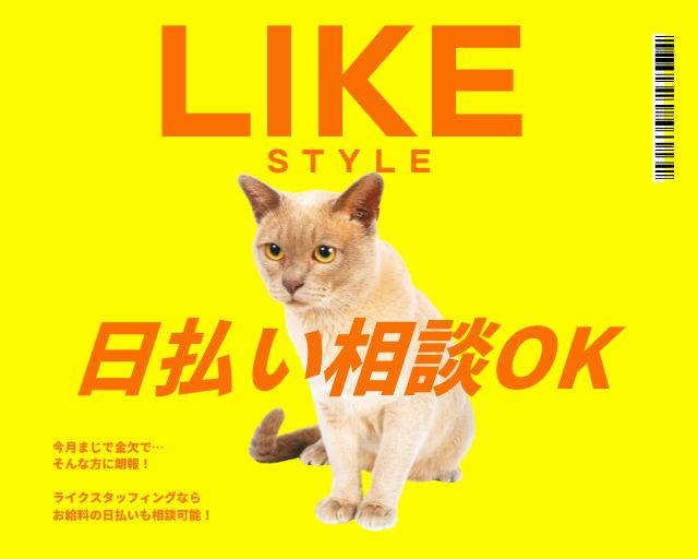 ライクスタッフィング株式会社/lwb2のフォトギャラリー1