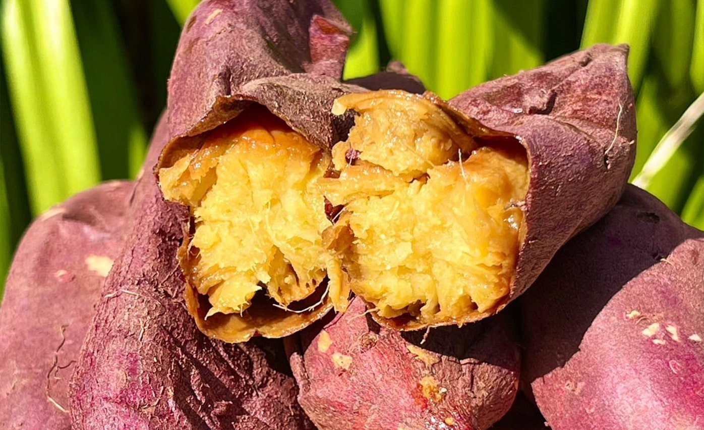 株式会社スタッフブリッジのフォトギャラリー1