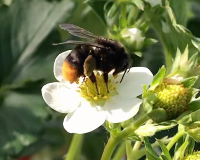 株式会社アグリ総研のフォトギャラリー4