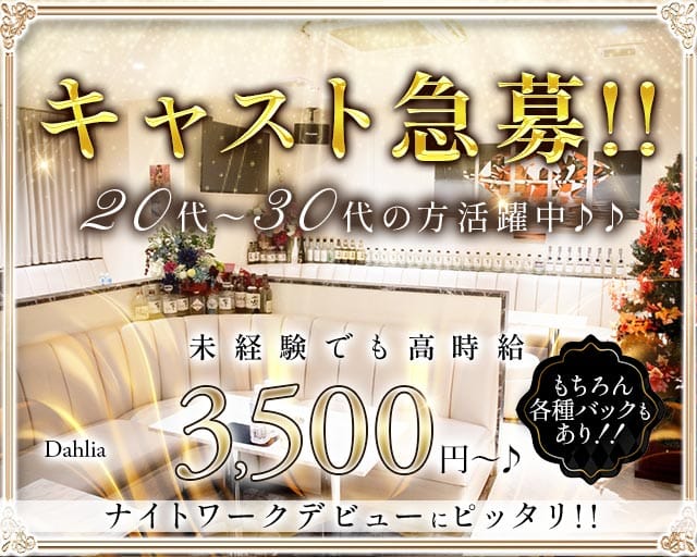 【下赤塚】Club Dahlia（ダリア）（東京都）の女性バイト求人情報