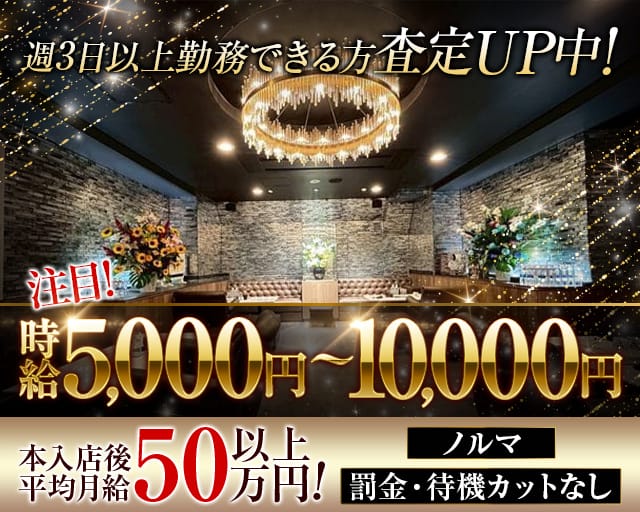 【関内】President Dachs（プレジデントダックス）（神奈川県）の女性バイト求人情報
