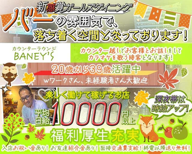 【調布駅】【朝・夜】BANEY'S（バーニーズ）の女性バイト求人情報