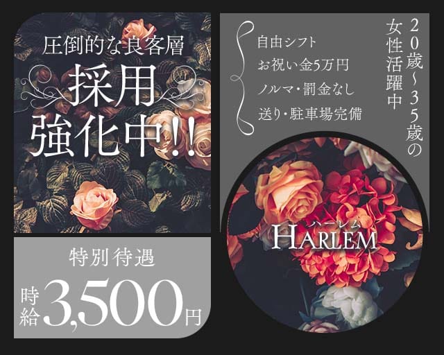 HARLEM（ハーレム）（静岡県）の女性バイト求人情報