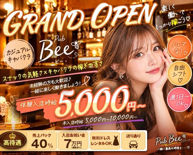 【武蔵小金井】Pub Bee（ビー）の女性バイト求人情報