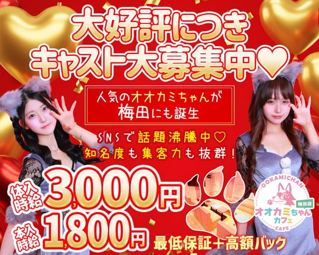 オオカミちゃんカフェ梅田店（大阪市北区）の女性バイト求人情報
