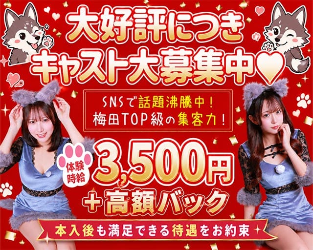 オオカミちゃんカフェ梅田店（大阪市）の女性バイト求人情報