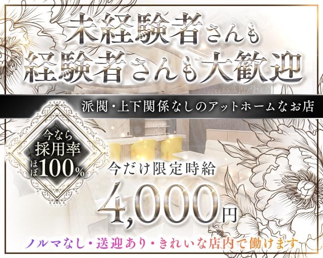 Lounge Stella（ステラ）の女性バイト求人情報