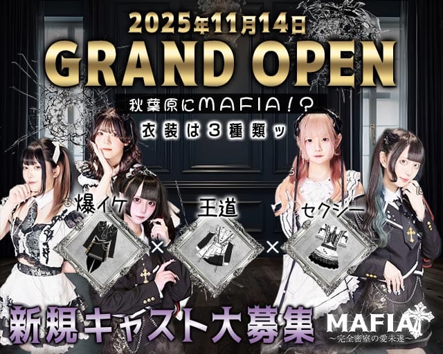 MAFIA（マフィア）〜完全密室の愛未遂〜（千代田区）の女性バイト求人情報