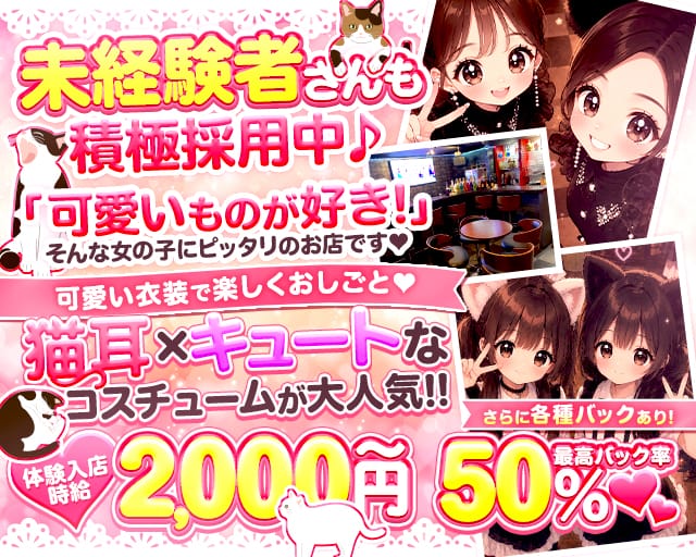 Concept Girls BAR Mew（ミュー）（岡山県）の女性バイト求人情報