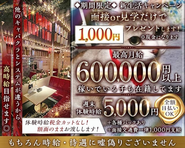 レディースマーケット 島田店（静岡県）の女性バイト求人情報