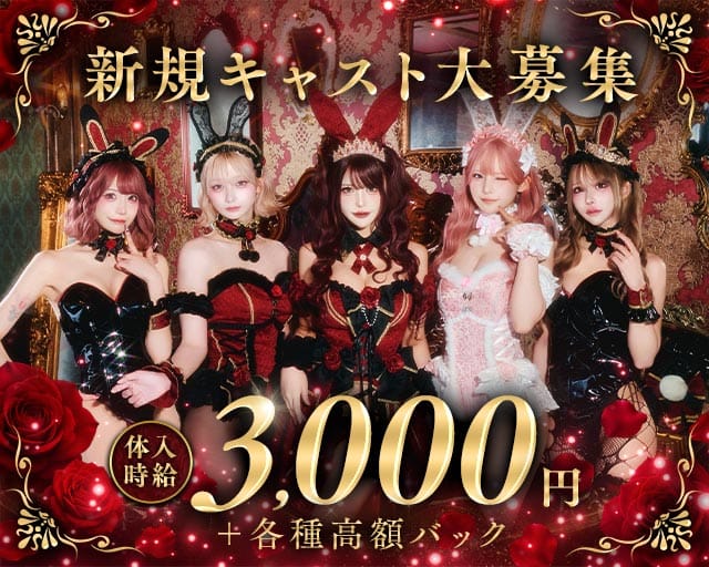 Bisquedoll the Bunny（ビスクドール ザ バニー）（大阪府）の女性バイト求人情報