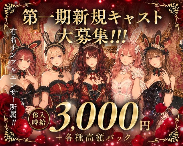 Bisquedoll the Bunny（ビスクドール ザ バニー）（難波駅）の女性バイト求人情報
