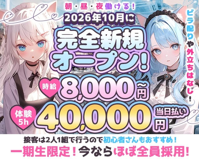 にゃんどーる。の女性バイト求人情報