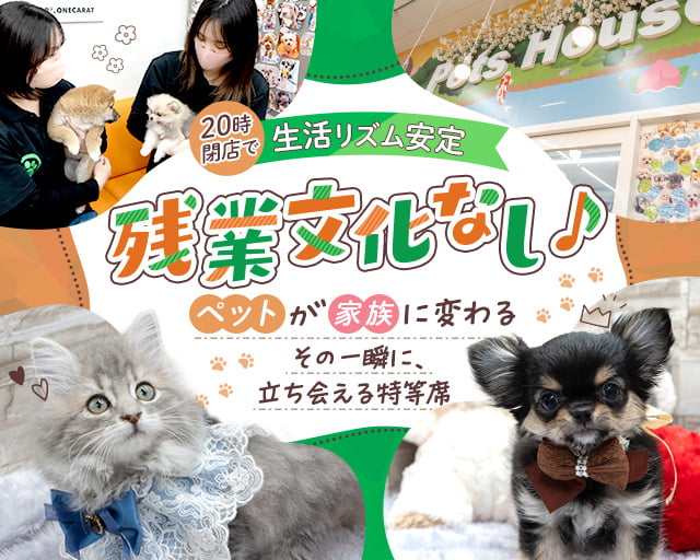 ONECARAT 姫路花田店の女性バイト求人情報
