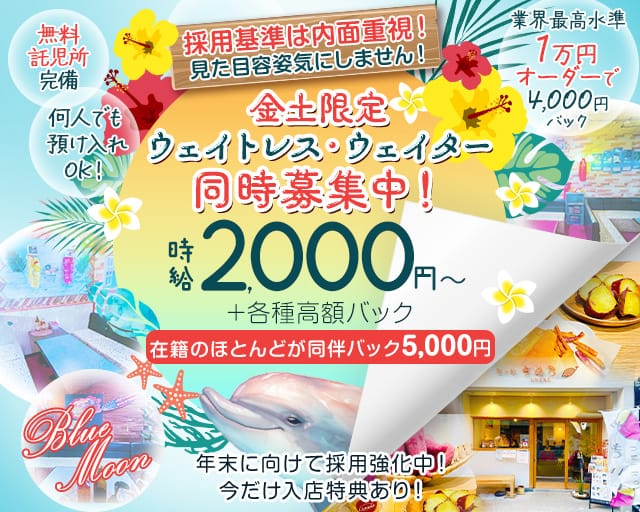 【和歌山市】ラウンジ ブルームーン（和歌山県）の女性バイト求人情報